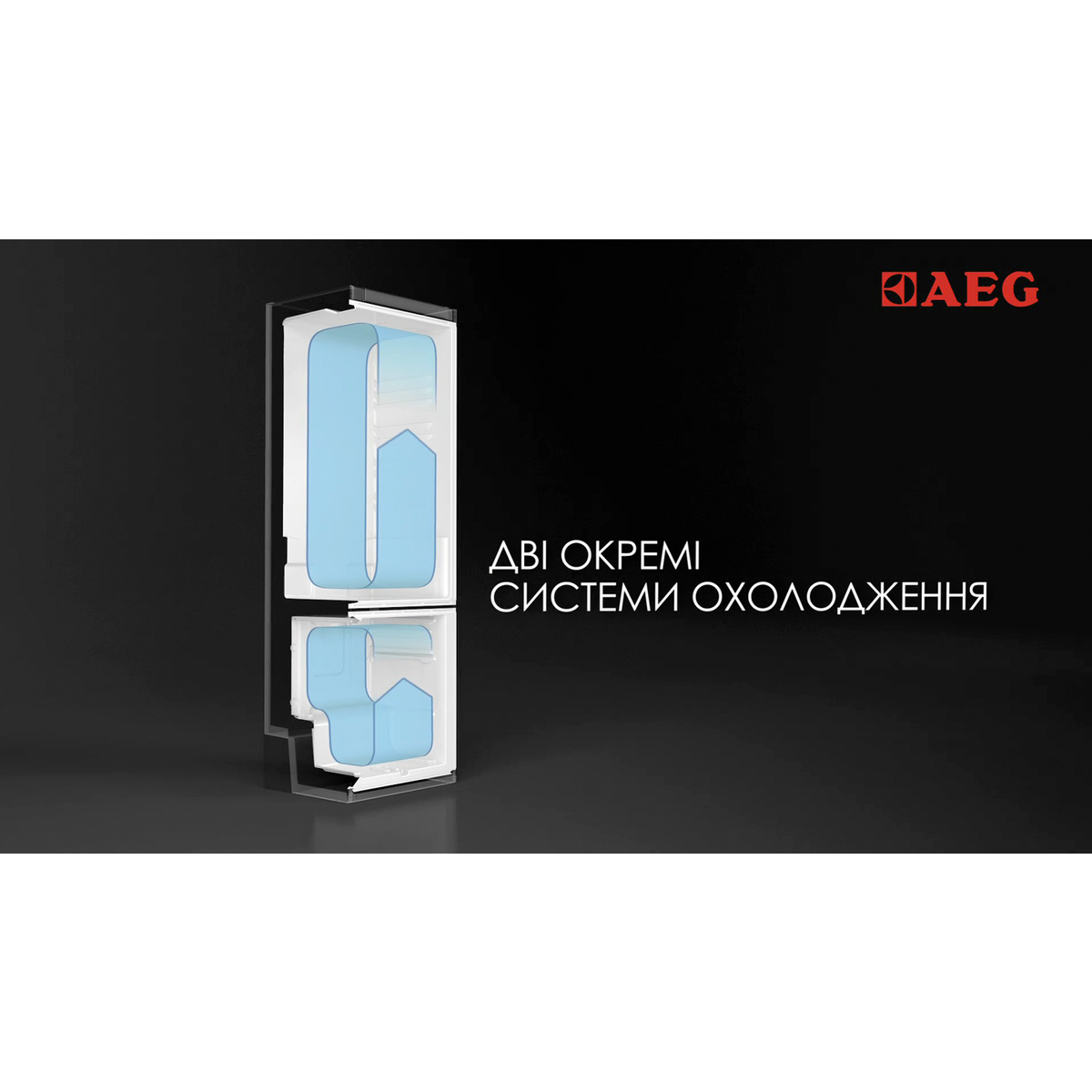 AEG - Окремо стоячий холодильник - S83520CMX2