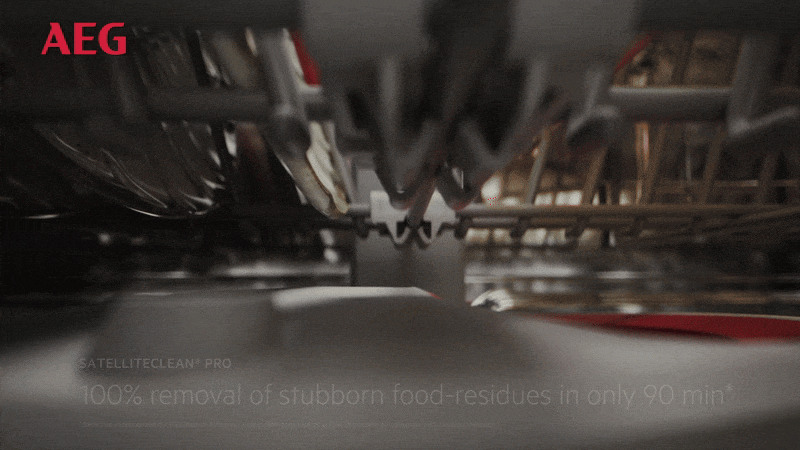 SatelliteClean® Pro